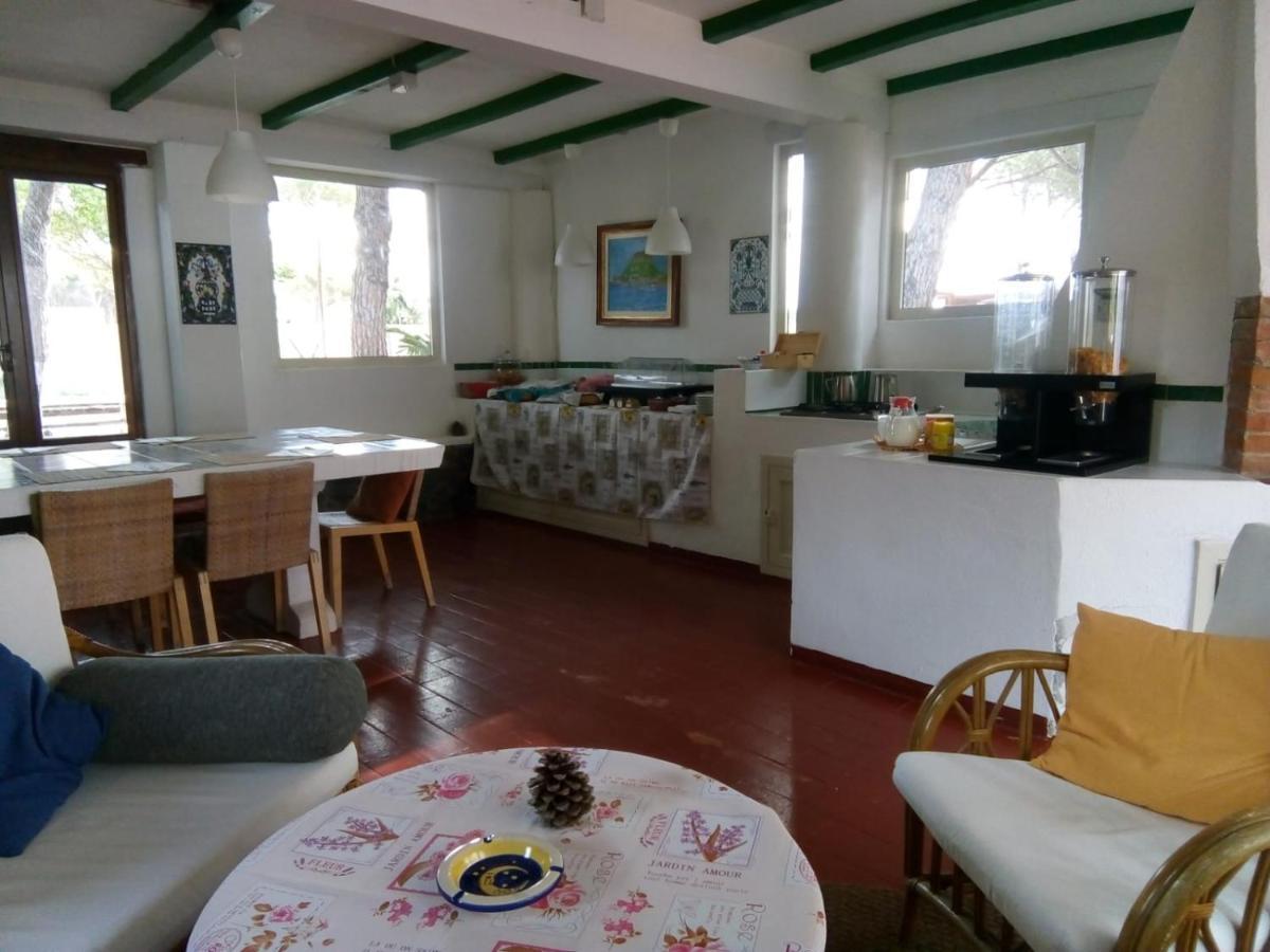 Villa Saracina 弗卡诺 外观 照片
